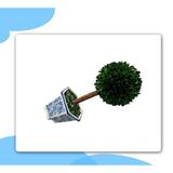 Primrue 14.2" Artificial Boxwood Topiary in Pot Preserved | 14.2 H x 5.9 W x 5.9 D in | Wayfair 6CAB88F6A9F446D5BEF73A68E3710A81