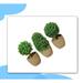 Primrue 3 - Piece Artificial Boxwood Topiary in Pot Set | 5.5 H x 2.5 W x 2.5 D in | Wayfair 648E895C7A3444489B44017B07DAE5D7