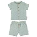 Sterntaler Baby Jungen Set Shirt mit kurzer Hose Set Hemd und kurze Hose Palme - Baby Shorts Shirt Set - aus Baumwolle - mittelgrün, 74