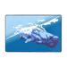 Ocean Blue Whale Rugs Doormat Non-Slip Absorbent Door Mat Front Back Doormat Entryway Rugs 36 x24