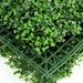FashionSecretsLLC High Density Artificial Boxwood Grass Privacy Screen Fence Decoration Resin/Plastic in Green | 1 H x 20 W x 0.5 D in | Wayfair