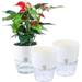 NOGIS Self Watering Pots for Indoor Plants Flower Pots Outdoor 3 Pack 6 Inch Self Watering Planter Plant Pots with Decorative Stones Flower Pot Plant Pots Indoor Flower Pots Indoor White