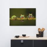 Latitude Run® Three Tiny Green Red Eyed Tree Frog - Wrapped Canvas Photograph Canvas in White | 24 H x 36 W x 1.5 D in | Wayfair