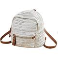 Beach Bag Straw Bags Hand-woven Straw Bag, Straw Bag, Women Straw Backpack Beach Summer Shoulder Bag Satchel Tote Rucksack Woven Hollow Beach School Bag Bags (Color : Beige)