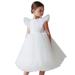 ZHAGHMIN Toddler Girl Baby Party Dress Formal Toddler Kids Baby Girl Ruffle Pageant Party Wedding Tulle Dress Girl Short Sleeve Princess Dresses Summer Dresses Little Girls Party Dress for Toddlers