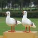 Ruanlalo Imitation Bird Standing Feet 3D Eyes Glossy Feathers Hand-crafted Realistic Appearance Home Decoration Environmental Protection Fake Foam Simulation Feather Sea Gull for Office