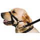 Ancol Training Halter for Dogs - Medium - Size 3 - 4