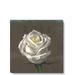 Darren Gygi Home Collection Rose Giclee by Darren Gygi - Wrapped Canvas Painting Canvas in White | 36" H x 36" W x 1" D | Wayfair 140-B-3636