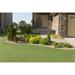 MSI Verdant Vista Emerald Green 15 ft Wide Cut to Length Artificial Grass Roll | 1.57 H x 180 W x 12 D in | Wayfair WAY-TRF-001