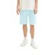 TOM TAILOR Denim Herren 1036287 Regular Fit Chino Shorts, 32161-Turquoise White Chambray, XL