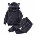 YYDGH Kids Boys Girls Velvet Cute Ear Hoodie Hooded Tracksuit Sweatshirt Top with Sweatpants Outfit 2Pcs Set(Gray 4-5 Years)