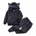 YYDGH Kids Boys Girls Velvet Cute Ear Hoodie Hooded Tracksuit Sweatshirt Top with Sweatpants Outfit 2Pcs Set(Gray 6-12 Months)