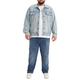 Levi's Herren 502 Taper Big & Tall Jeans, Shitake, 46W / 34L