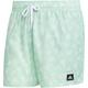 ADIDAS Herren Shorts BOS AOP CLX VSL, Größe M in Grau