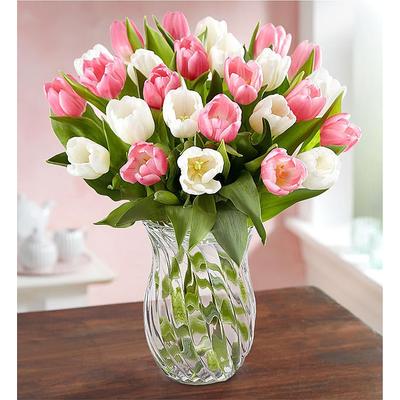 1-800-Flowers Seasonal Gift Delivery Sweet Spring Tulip Bouquet 30 Stems W/ Clear Vase