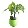 Wozhidaoke Plant Pots Mini Colourful Round Plastic Plant Flower Pots Home Office Decor Planter Flower Vase Flower Pots Green 8*8*8 Green