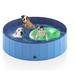 OAK DECOR BLAZE Foldable Plastic Dog Swimming Pool | 12 H x 63 W x 63 D in | Wayfair GKJ0403RT1407M