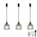 FSLiving Rechargeable Battery Operated Pendant Light with Sleeve&Round Hook RGB Mode Adjustable Wire Length Hanging Light Black Metal Hollow Cage Shade Dimmable Lamp for Courtyard Nightstand-3 Lights