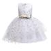 Girls Dresses Kid Sleeveless Floral Embroidered Tulle Ball Gown Princess Prom Outfits Clothes Dresses For Toddler Girls