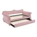 Rosdorf Park Jassie Twin Daybed w/ Trundle Upholstered/Velvet in Pink | 42.5 H x 43.4 W x 93.6 D in | Wayfair 11B956F14014405FA196CE70C3DBC0BA