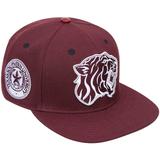 Men's Pro Standard Maroon Texas Southern Tigers Evergreen Mascot Snapback Hat