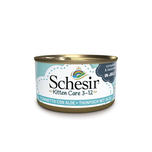 24x85g Kitten in Gelee - Thunfisch mit Aloe Katzenfutter nass