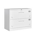 Latitude Run® 2-Drawer Lateral Filing Cabinet Metal/Steel in Gray/White | 28.7 H x 35.43 W x 17.72 D in | Wayfair 630ECACB7E8E4D6493CD4FF71A2049CE