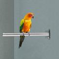 Bird Parrot Stainless Steel Stand Perch Rod Bird Grinding Claws Parrot Perch Platform for Small Birds Parakeet Cage Accessories Exercise Stand 15cm