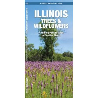 Illinois Trees & Wildflowers: A Folding Pocket Guide To Familiar Plants