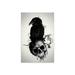 Trinx Raven & Skull Print On Acrylic Glass Plastic/Acrylic | 24 H x 16 W x 0.25 D in | Wayfair D93F124D475A4CC9A236A39483731C8C