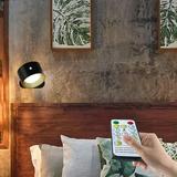 Dengmore Soft Light Led Wall Sconces Wall Lamps With Battery Operated Wall Mounted Cordless Lights With 3 Color Temperature and 3 Brightness 360Â° Magnetic Ball USB Charging Port