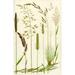 Wild grasses. 1.Meadow Foxtail 2.Yorkshire Fog 3.Yellow Oat Grass 4.Timothy grass 5.Sweet Vernal grass 6.Meadow Fescue