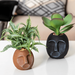Teresa s Collections 6 6.7 Modern Artificial Succulents Plants in for Home Decor Boho Artificial Potted Plants in Black and Orange Face Ceramic Pot for Shelf Desk Office Indoor Decor Set of 2