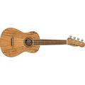 Fender Zuma Exotic Concert Ukulele, Walnut Fingerboard in Spalted Maple