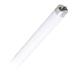 Halco 82360 - T836FR11/850/DIR3/LED 3 Foot LED Straight T8 Tube Light Bulb for Replacing Fluorescents