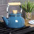 Mr. Coffee 1.5 Quart Tea Kettle w/ Fold Down Handle in Stainless Steel/Enameled in Blue | Wayfair 950119754M