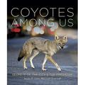 Coyotes Among Us: Secrets of the City s Top Predator (Hardcover)