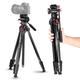 NEEWER 63"/160cm Travel Tripod, Portable Aluminum Video Tripod with Pan Tilt Fluid Head Compatible with Panasonic Sony Canon JVC Mini DV Camcorder, DSLR Camera, Max Load 17.6lb/8kg, TP22