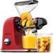 c&g home Slow Masticating & Cold Press Juicer | 10.24 H x 11.02 W x 4.13 D in | Wayfair m318