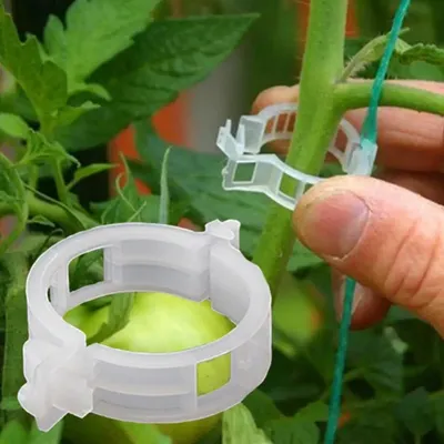 Clips de Support de Plantes pour Tomate Trellis Vigne Connecte les Plantes Serre Outil de user