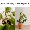 Support décoratif en treillis pour plantes 4 pièces cadre pour fleurs plantes grimpantes plantes
