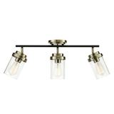 Globe Electric Adelaide 3-Light Antique Brass Track Lighting Matte Black and Clear Glass 59673