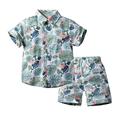 TAIAOJING Toddler Baby Boy Clothes Shorts Set Boys Tropical Print Shirt Beach Pants Children s Clothing Seaside Travel Children s Set 9-12 Months