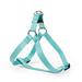 Turquoise Dog Harness, Medium, Teal