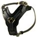 Dean & Tyler Leather Dog Harness The Victory Black X-Large
