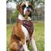 Dean & Tyler Leather Dog Harness The Boss Brown X-Large Adjustable for Big Breeds