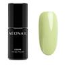 NEONAIL - COLOR ME UP Collektion Smalti 7.2 ml Nude unisex