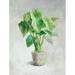 Bay Isle Home™ Greenhouse Palm I Chevron Pot - Wrapped Canvas Print Canvas | 24 H x 18 W x 1.25 D in | Wayfair 15337BBC35994B1DBA540141D5E5E391