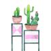 Union Rustic Cacti on Decorative Tables - Wrapped Canvas Print Metal in Black/Green/Pink | 32 H x 24 W x 1.25 D in | Wayfair