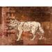 Loon Peak® Timber Wolf - Wrapped Canvas Print Canvas in Brown/White | 12 H x 16 W x 1.25 D in | Wayfair 3F6400D0F8454C8B893EC6C750AD498E